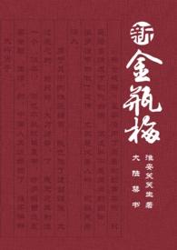 新 金 瓶 梅 续 集