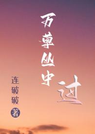 单枪匹马挎俩锤