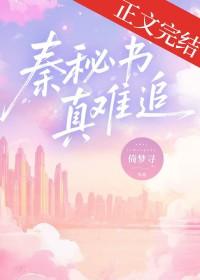 秦秘书真难追全文阅读