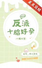 反派十胎好孕讲的什么