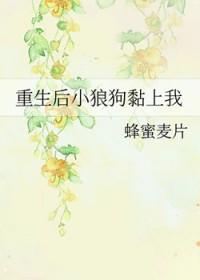 重生后我和小狼狗he了txt