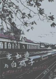 霓虹夜歌词封茗囧菌