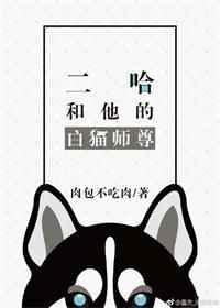 二哈和他的白猫师尊讲了什么