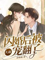 闪婚后我被大佬宠上天全本