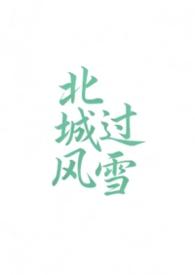 北城有雪最新章节
