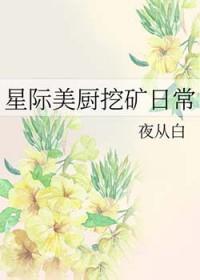星际美厨挖矿日常格格党