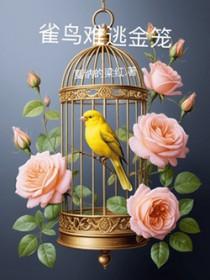 雀鸟难逃金笼沈时渊