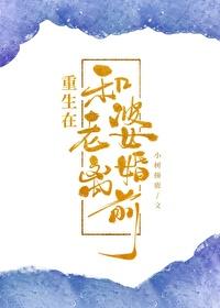 重生在和老婆离婚前by小树撞鹿