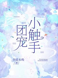 团宠小触手百度txt