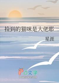 捡到你的猫