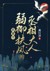 朕那个弱柳扶风的丞相大人TXT