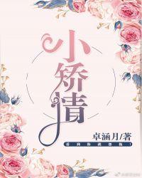 小矫情txt