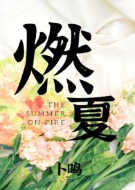 燃夏 卜鸣笔趣阁