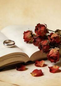 代价和打车哪个便宜