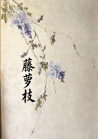 藤萝枝作者JUE
