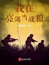 我在亮剑当战狼夸克