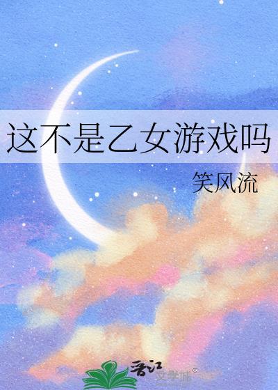 这不是乙女游戏吗英文