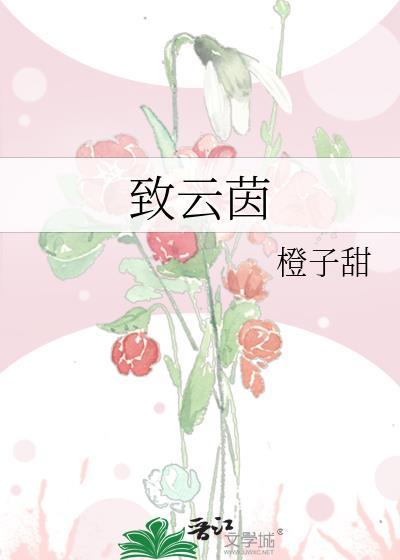 致云茵TXT全文阅读