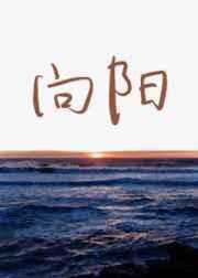 向阳而生歌词