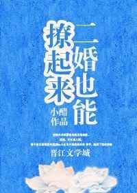 二婚也能撩起来晋江