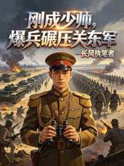 民国少帅在线阅读