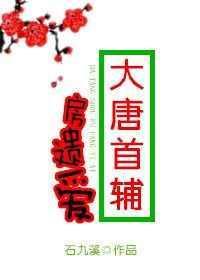 大唐我是房遗爱