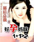 幕后总裁的替孕
