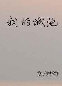 我的城池txt百度
