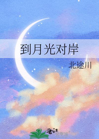 到月光对岸TXT资源