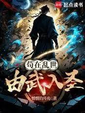 苟在乱世由武入圣TXT