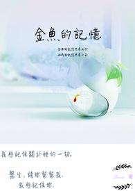金鱼的记忆只有3秒吗