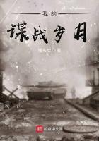 我的谍战岁月 百度